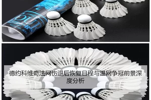 德约科维奇法网伤退后恢复日程与温网争冠前景深度分析